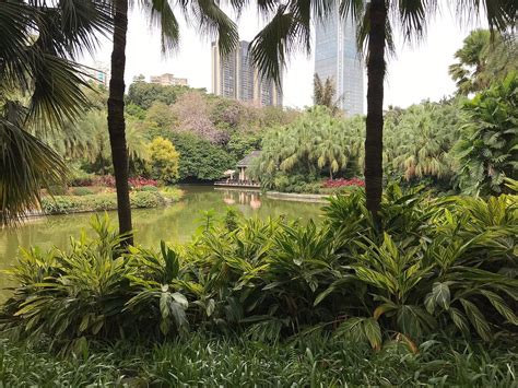 廣州珠江公園怎麼去？不同角度的指南與體驗分享