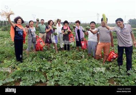 谷圍新村房子怎麼樣 今年的天氣變化莫測